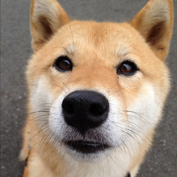 AYX SPORTS-“青少年足球联赛全国总决赛火热进行”，青少年全国足球比赛