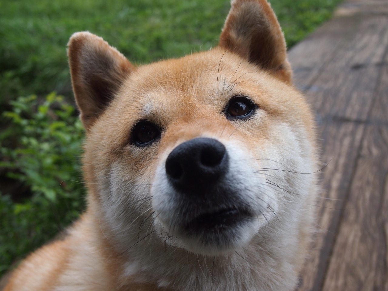 夜场战役:最受期待的晚间比赛前瞻,夜场战队名称