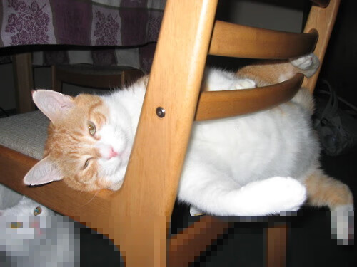 爱游戏中国官方网站平台-德甲战火升腾，精彩反击和精彩扑救不断上演，德甲榜首大战