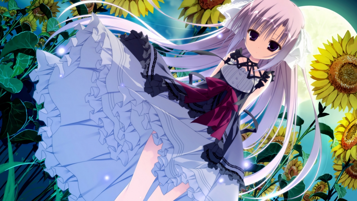 新兴台球联盟成立,带来新机遇,新兴台球厅