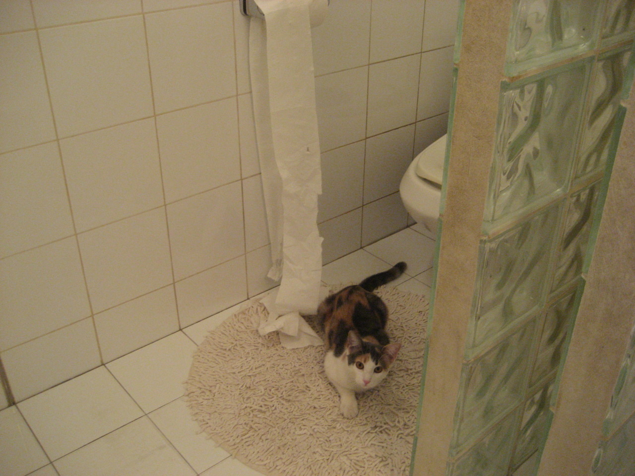 特色科技创新赋能，智能篮球装备在青训中广泛应用，篮球体智能课程介绍