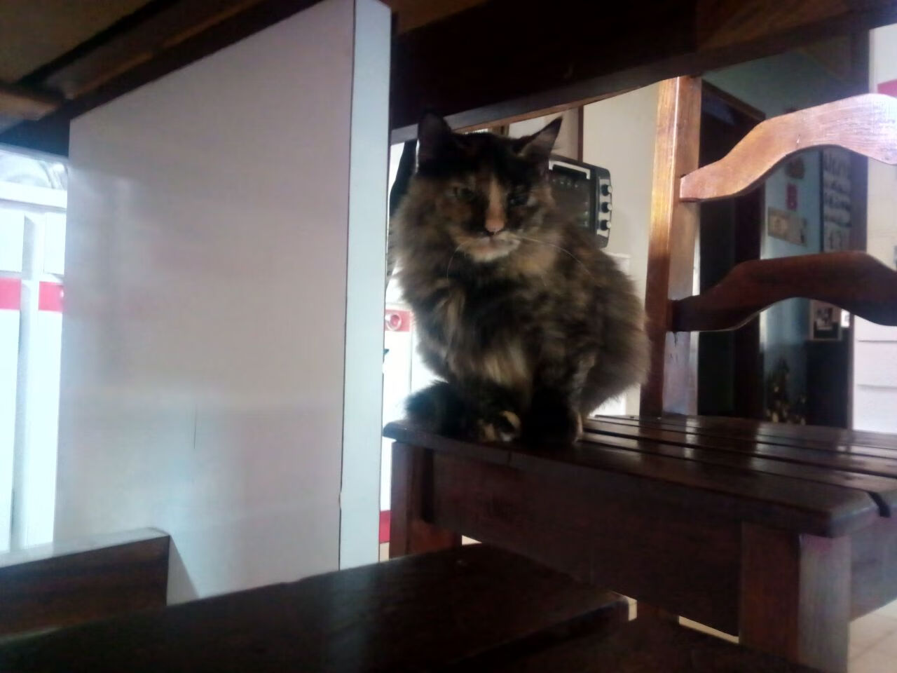 爱游戏 电竞-塞尔塔遭遇主场失利，积分榜位置下降，塞尔塔球队图片