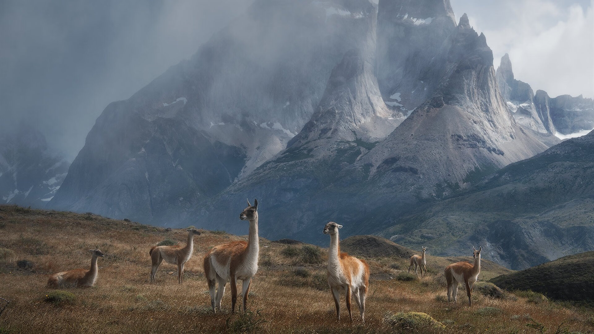 查尔顿锋线端多点开花,山谷球场渴望连胜,查尔顿岛
