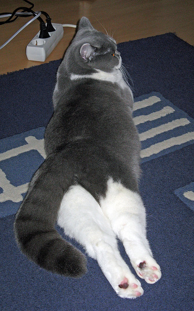 电竞城市成为电竞职业选手的摇篮,电竞在城市发展中的盈利模式