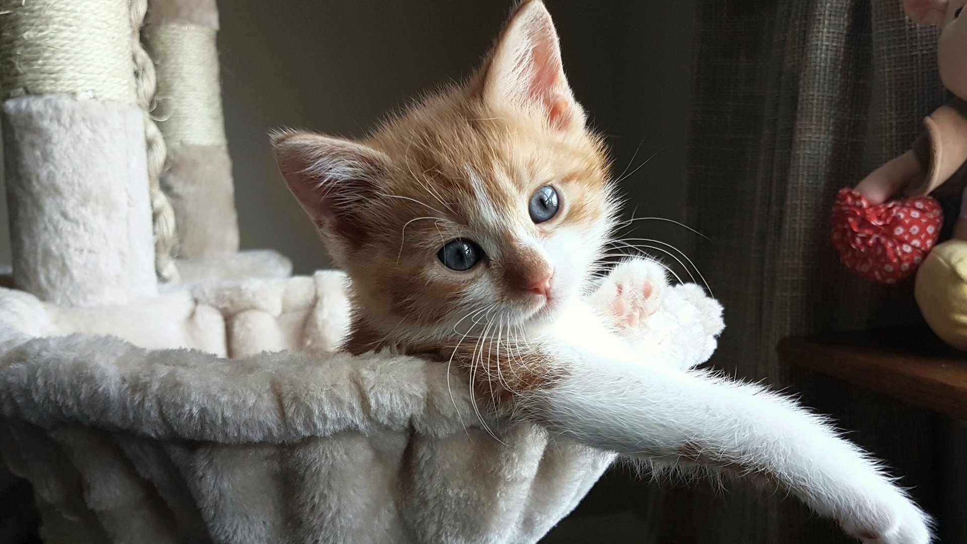 红军放走若塔,腾出薪资空间,放一个红军的