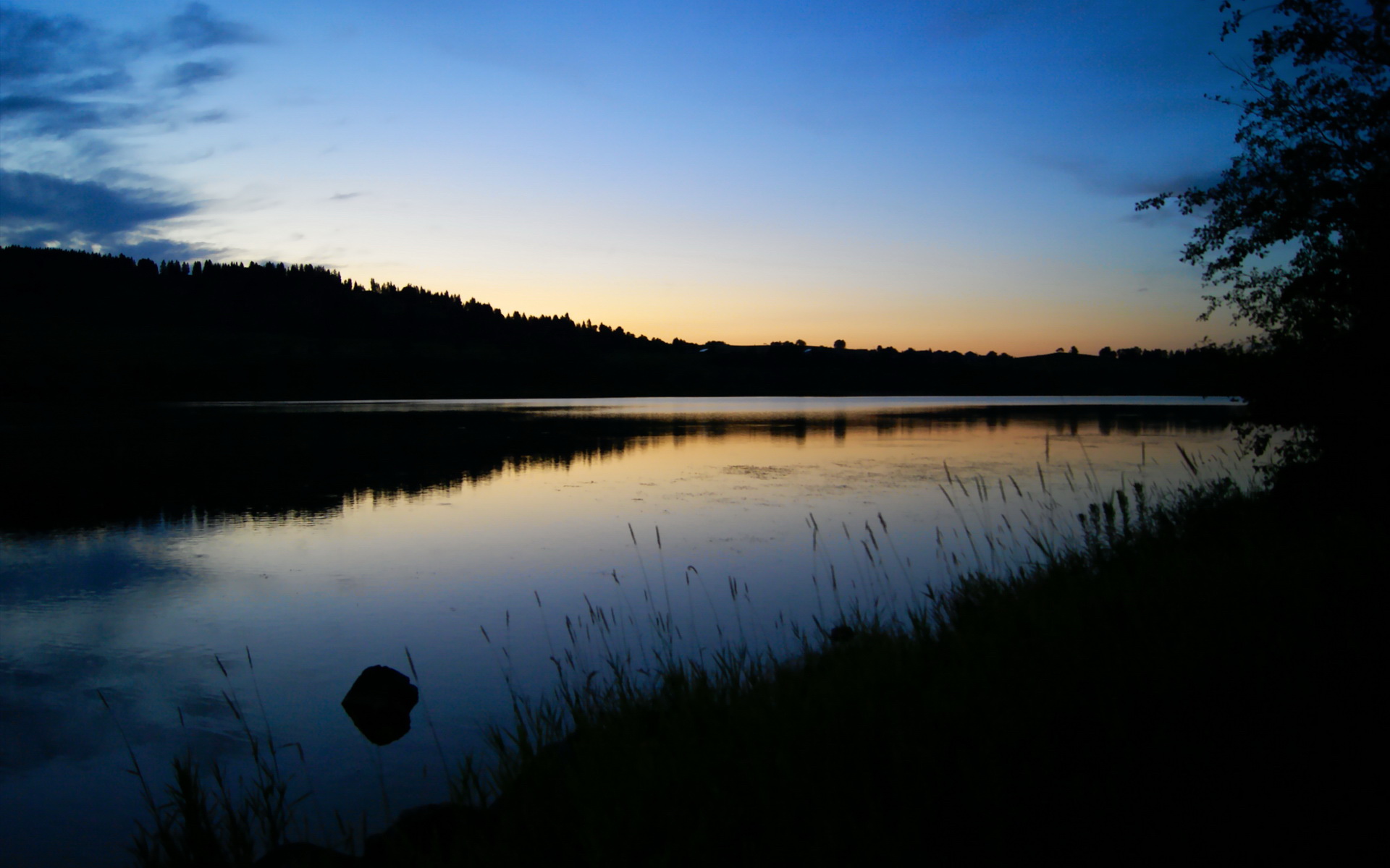 美国选手闪耀全球赛场,美国选手闪耀全球赛场是谁