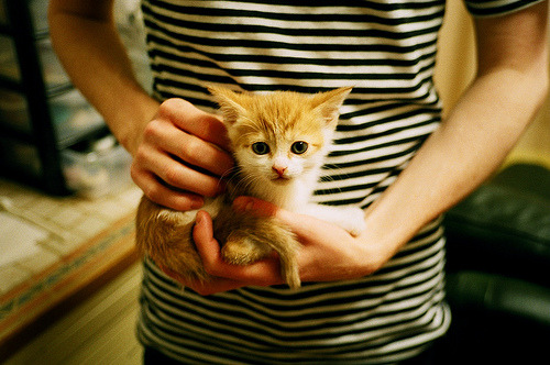 爱游戏 电竞-足球比赛的最新排名表现出哪些变化？，足球的赛事排名