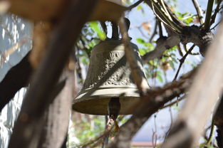 AYX体育-NBA球员转会市场动态，nba转会名单