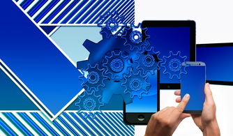 爱游戏中国官方网站平台-中国篮球联赛品牌建设及粉丝经济研究，国内篮球职业联赛