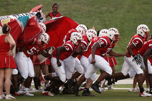 爱游戏体育-全国城际定向越野赛青少年组吸引众多参赛者，全国定向越野锦标赛
