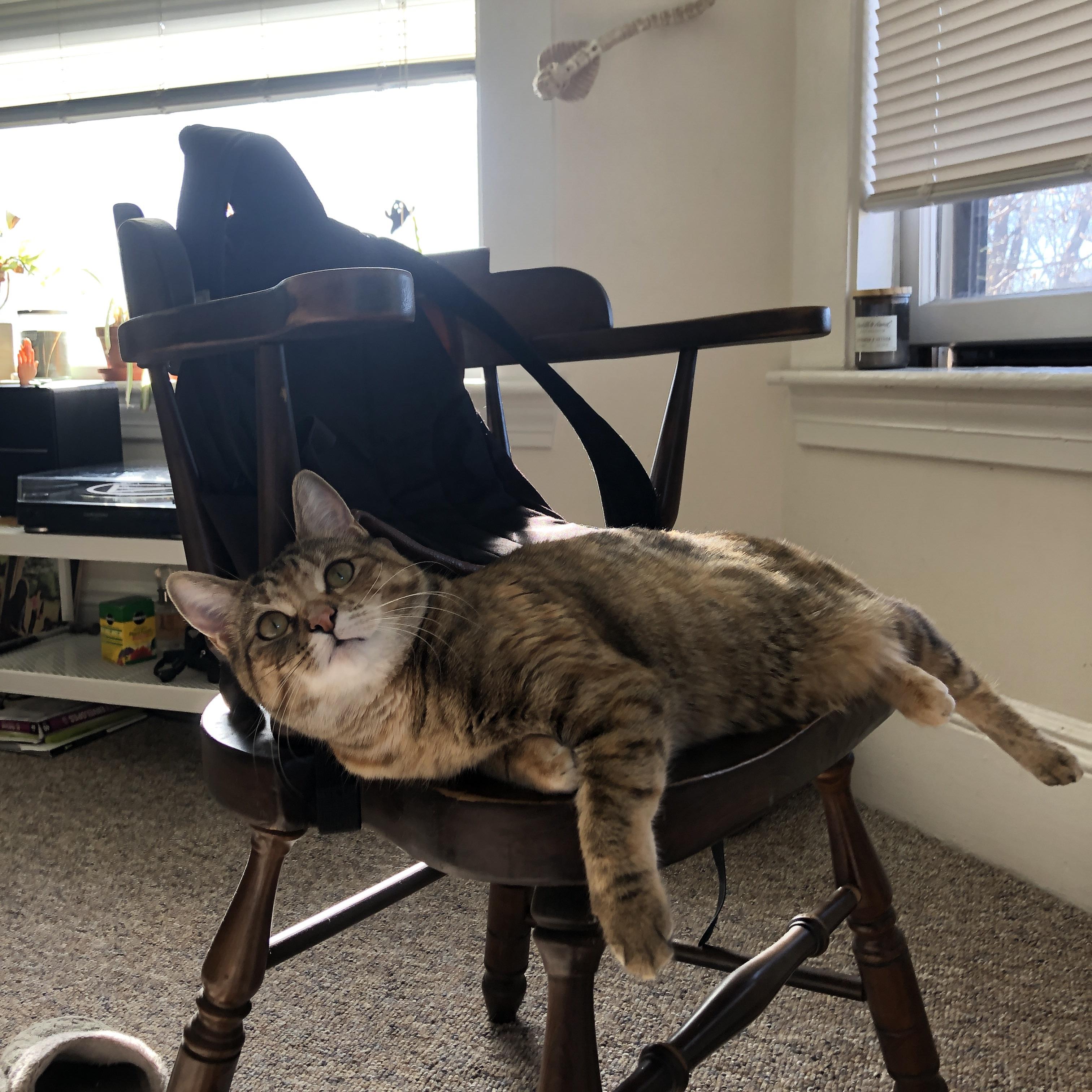 高校体育科研成果转化率调查分析,体育转项目申请