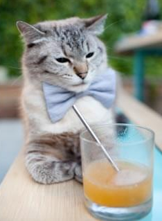 中超联赛U23国足夺冠 战术执行值得肯定,中超u23状况令人担忧, 谁能拿下赛季最佳新人