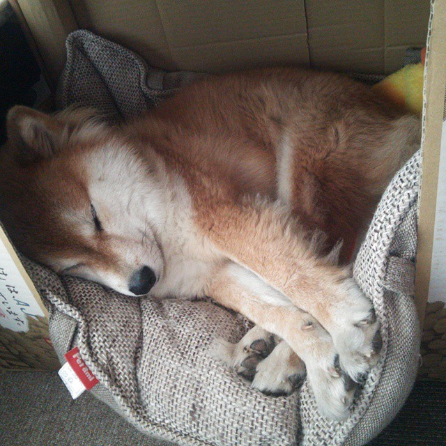 爱游戏app下载-亚洲杯U23国足惨败 技术分析引深思，亚洲u23男足锦标赛