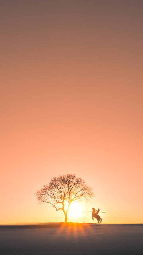 仰泳技术进化,入水角度更为精准,仰泳入门教程