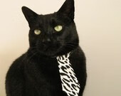 76人发布励志短片鼓舞球员与粉丝士气，76人标语