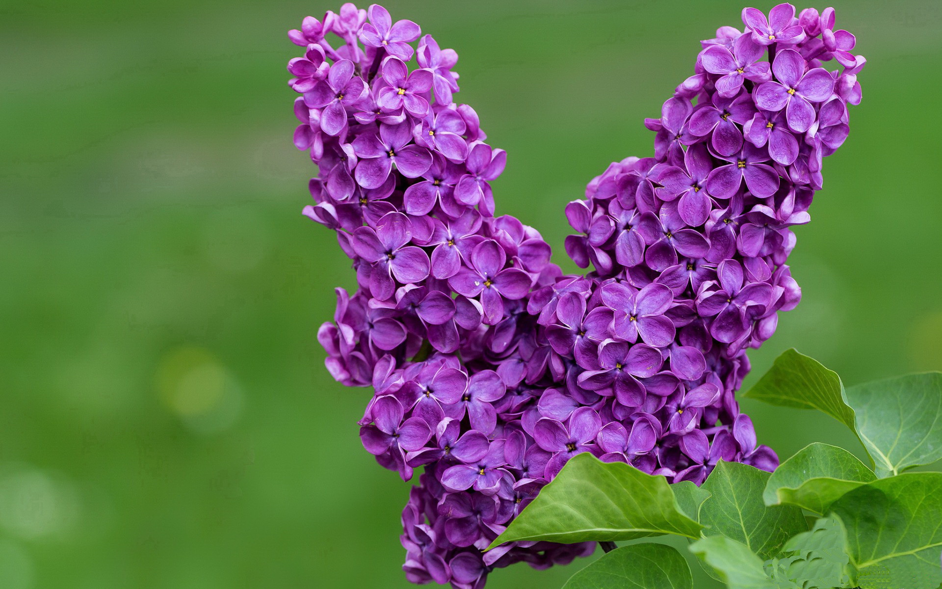 爱游戏娱乐网址-国足公布新赛季名单六新人入选，国足新阵容