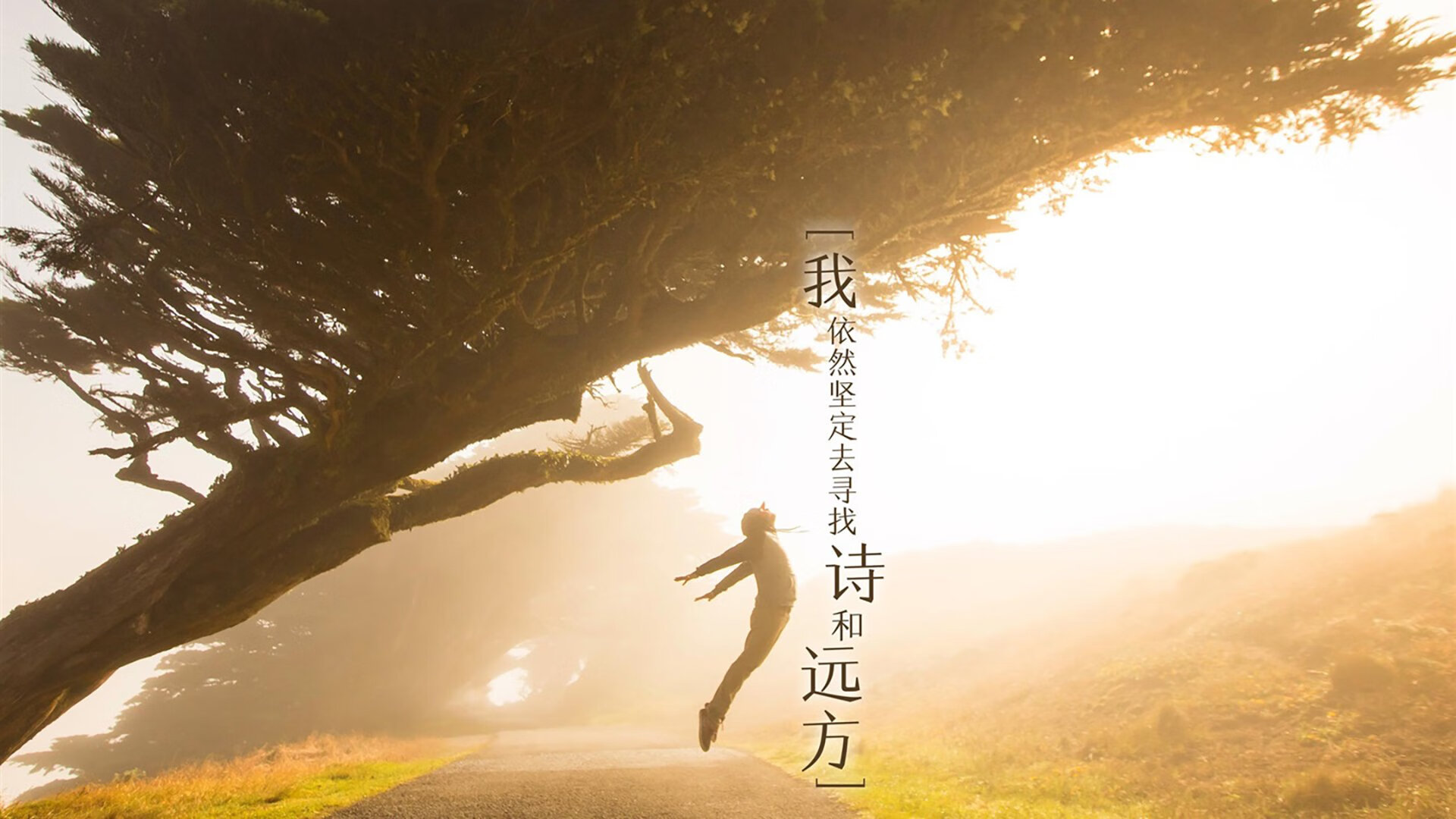 帕金斯赛后表示:还可以更好,帕金斯有冠军吗