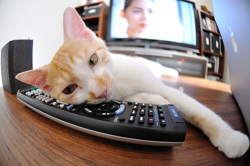 英超绝杀瞬间:终场哨声前的奇迹出现,英超压哨转会